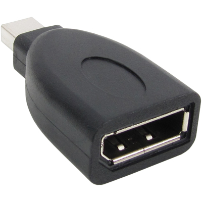 DisplayPort to Mini DisplayPort 젠더 [NM-DPG02]