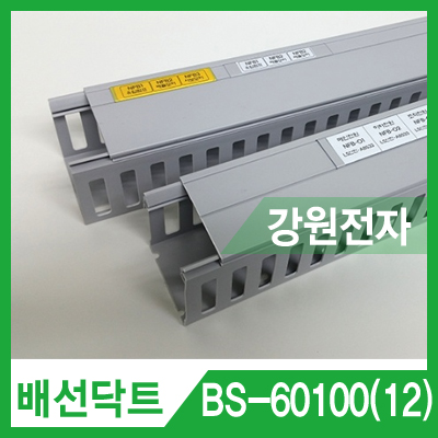 배선닥트 BS-60100(12) 와이러링 닥트 (60x100mm/길이 2m/12mm 라벨/그레이)