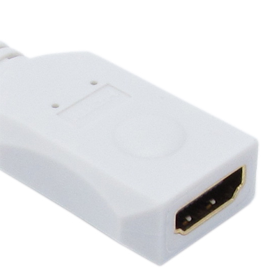 강원전자 넷메이트 DC-H1 (White) Mini DVI to HDMI 젠더