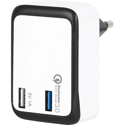 강원전자 넷메이트 KYT050400BB QC3.0 USB 2포트 급속 충전 아답터(12V 4A)