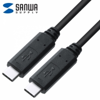 강원전자 산와서플라이 USB C타입 5A 100W 고속충전 케이블 2m