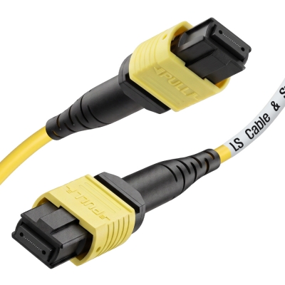 LS전선 SM 12C MPO 광점퍼코드 3m LS-MTC-FF-SM-12ZB-003